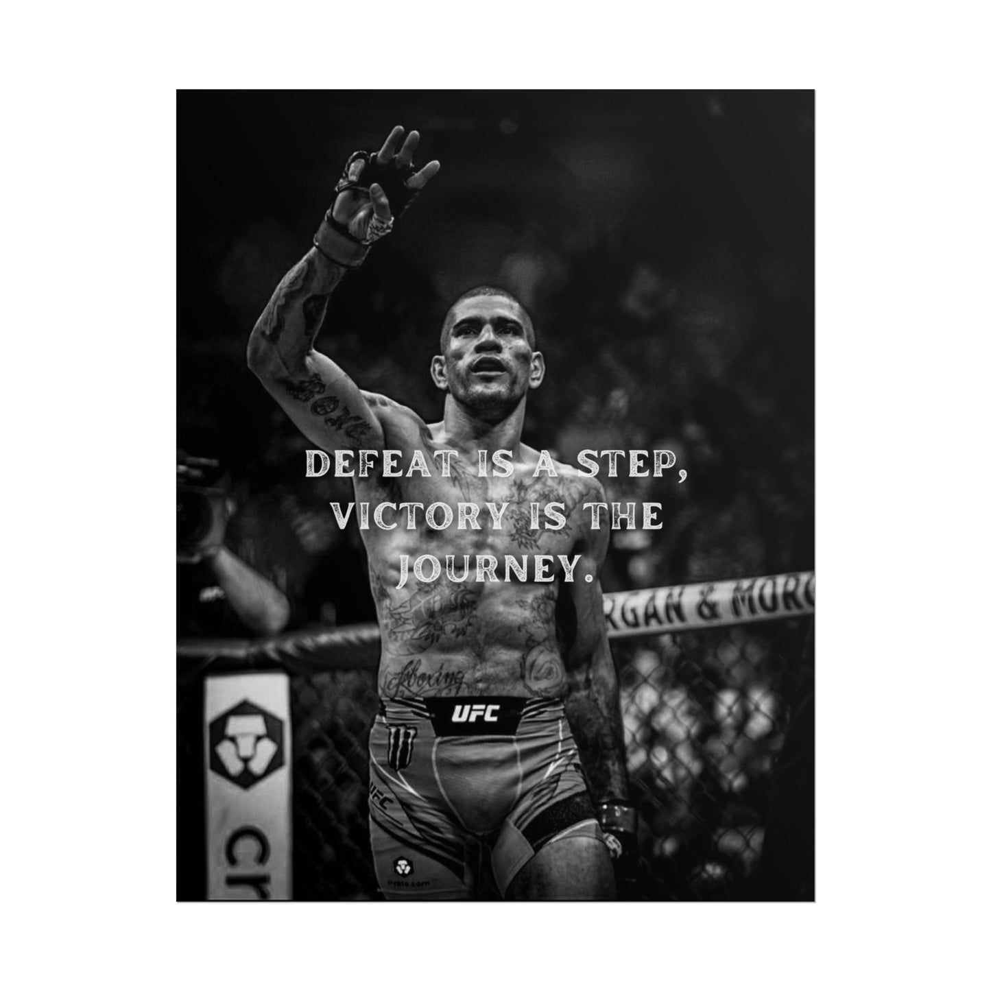 ALEX PEREIRA POSTER - DEFEAT IS A STEP, VICTORY IS THE JOURNEY