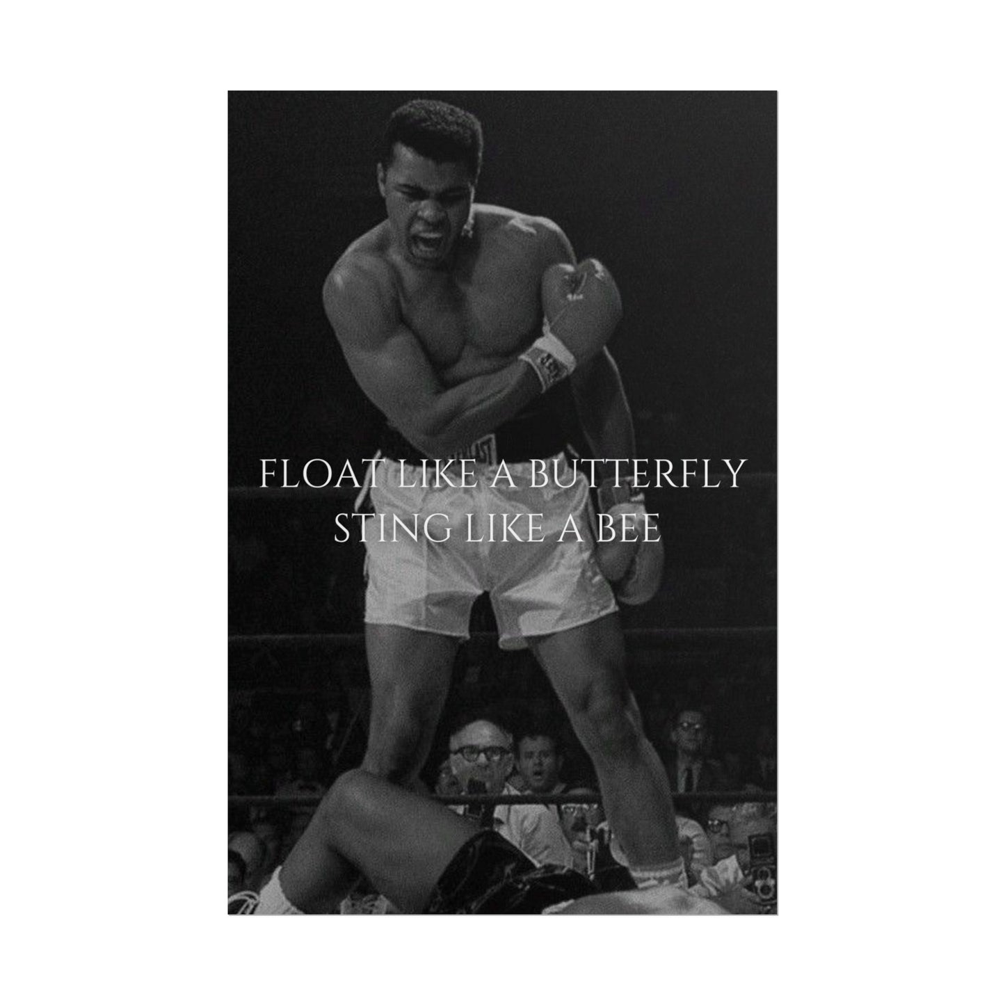 MUHAMMAD ALI POSTER - FLOAT LIKE A BUTTERYFLY STING LIKE A BEE