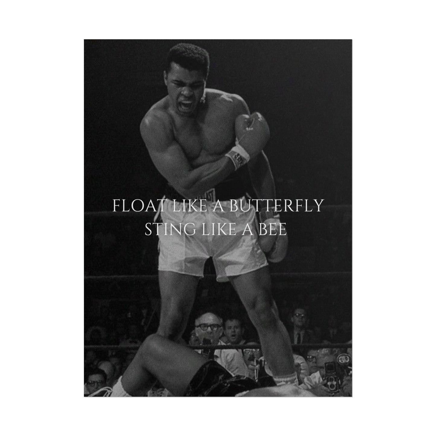 MUHAMMAD ALI POSTER - FLOAT LIKE A BUTTERYFLY STING LIKE A BEE