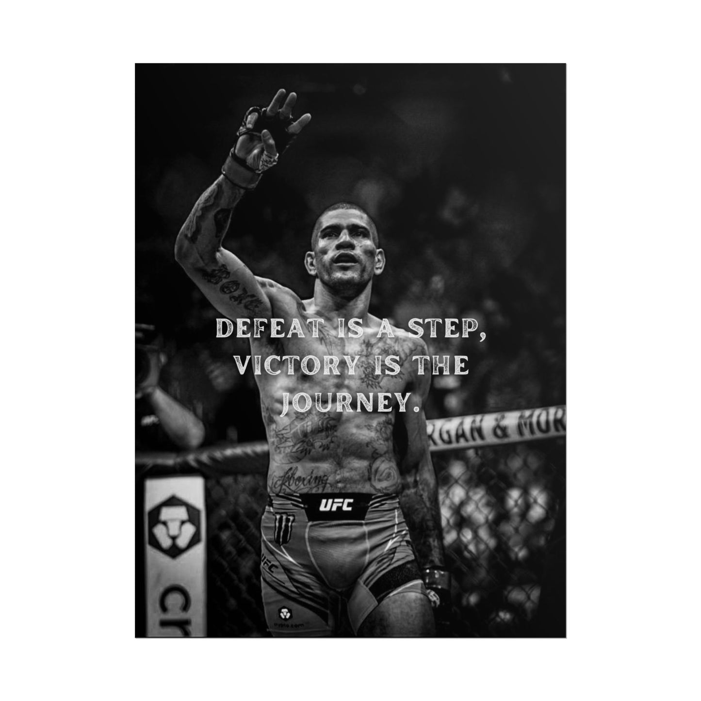 ALEX PEREIRA POSTER - DEFEAT IS A STEP, VICTORY IS THE JOURNEY