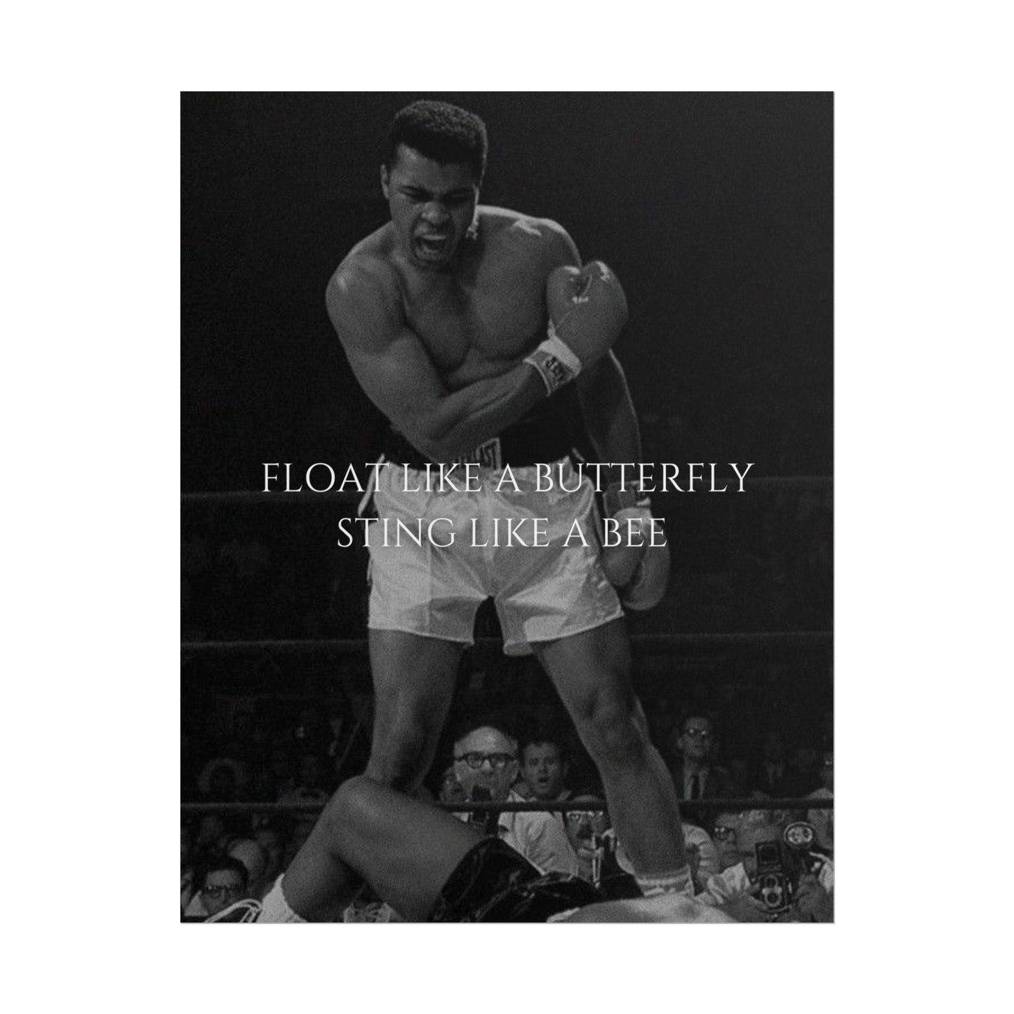 MUHAMMAD ALI POSTER - FLOAT LIKE A BUTTERYFLY STING LIKE A BEE