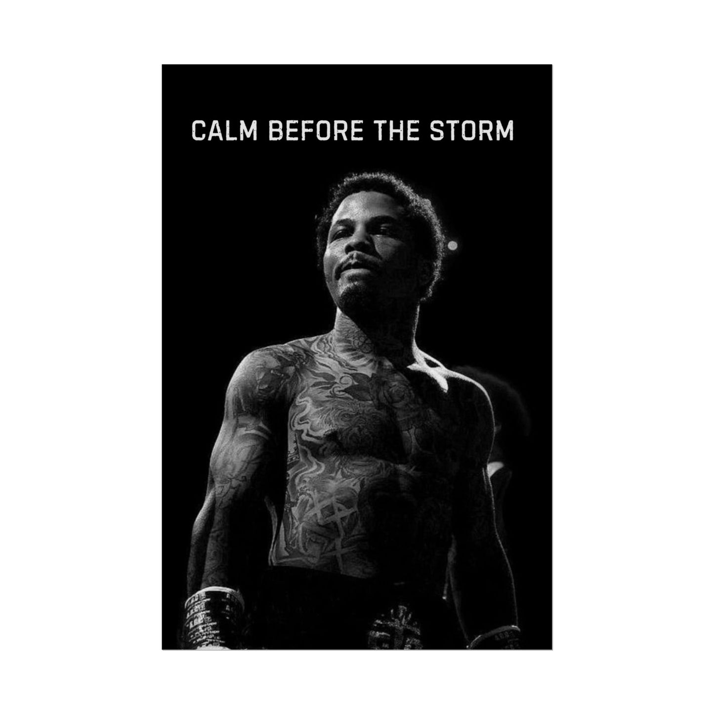 TANK DAVIS POSTER - CALM BEFORE THE STORM