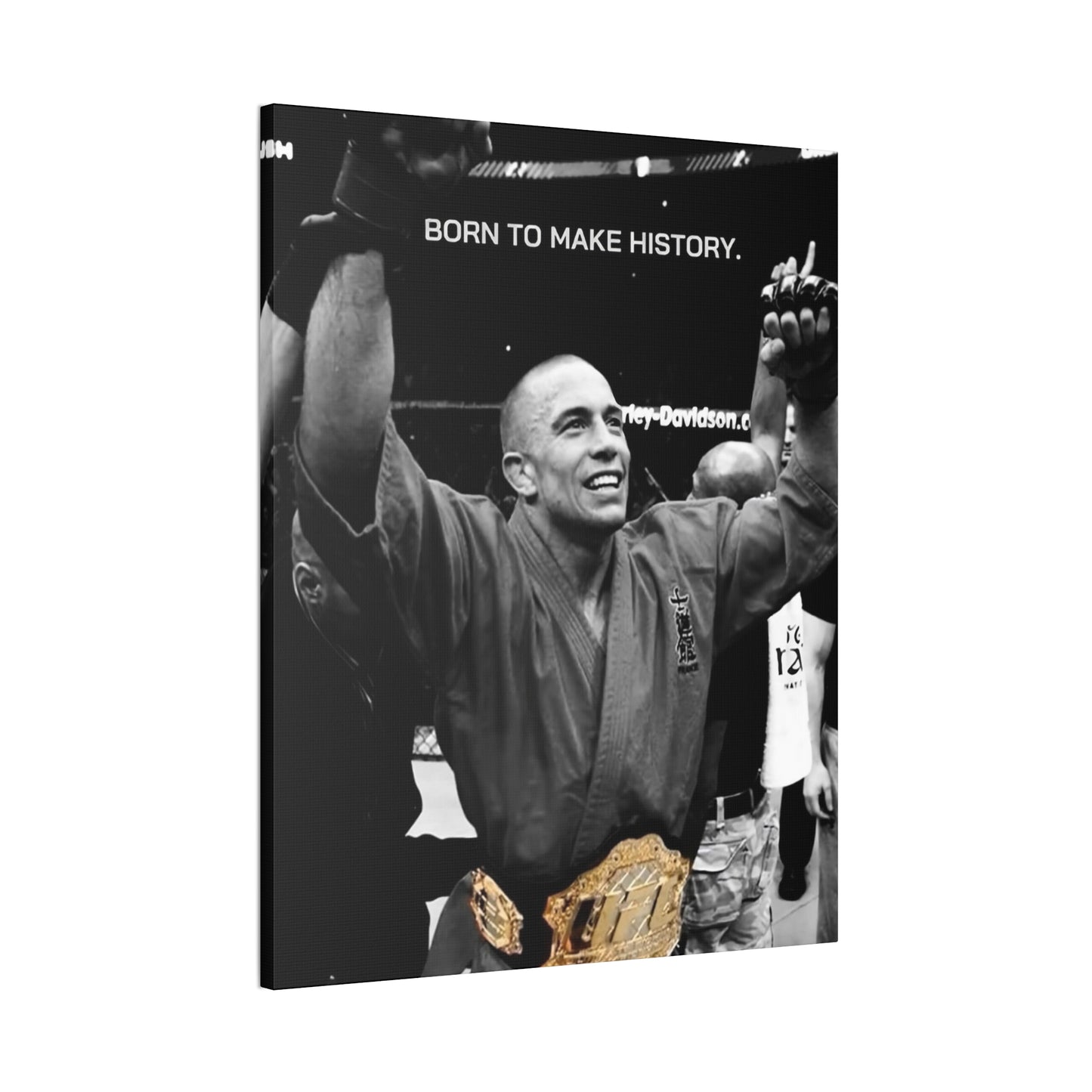 LUXURY GEORGES SAINT PIERRE CANVAS