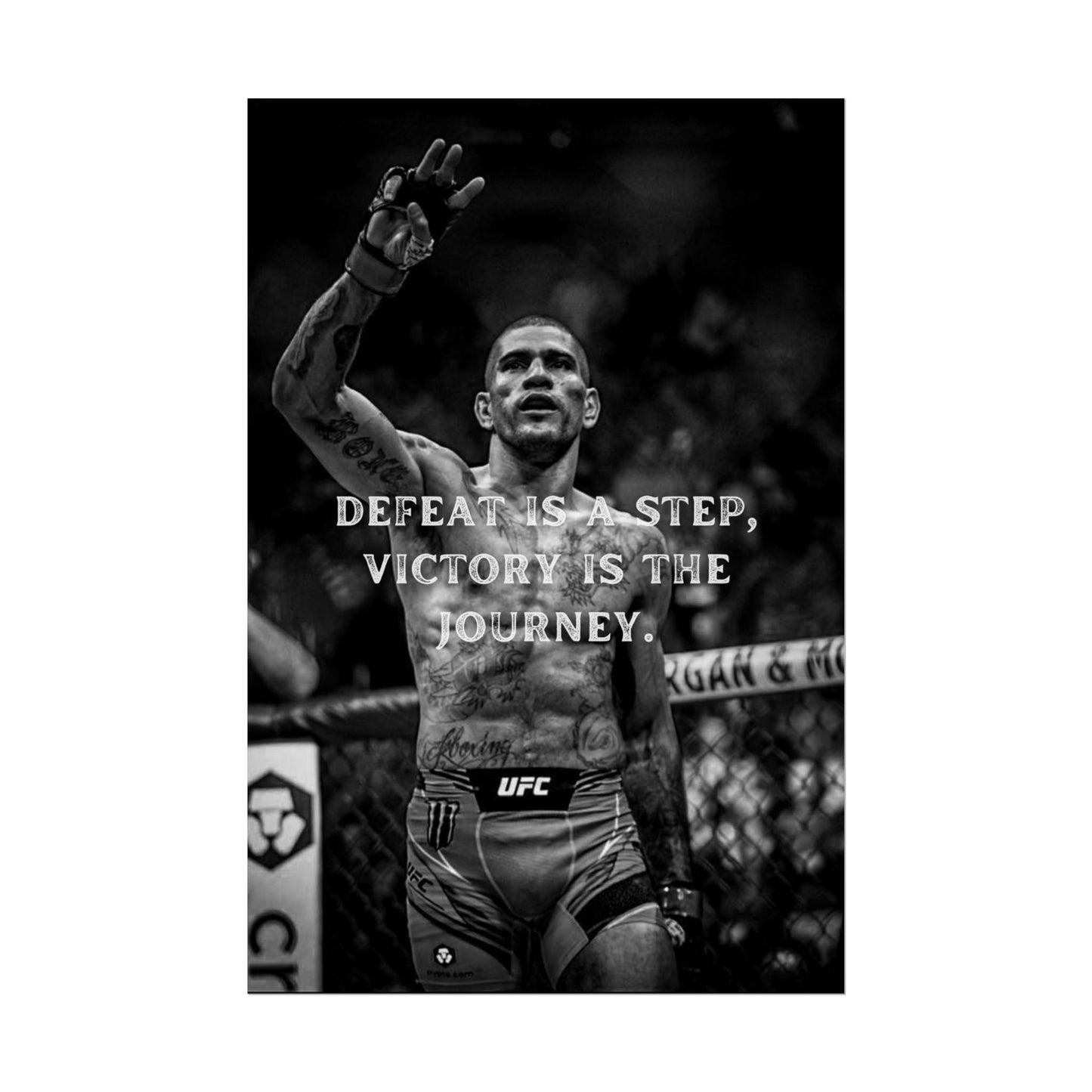 ALEX PEREIRA POSTER - DEFEAT IS A STEP, VICTORY IS THE JOURNEY