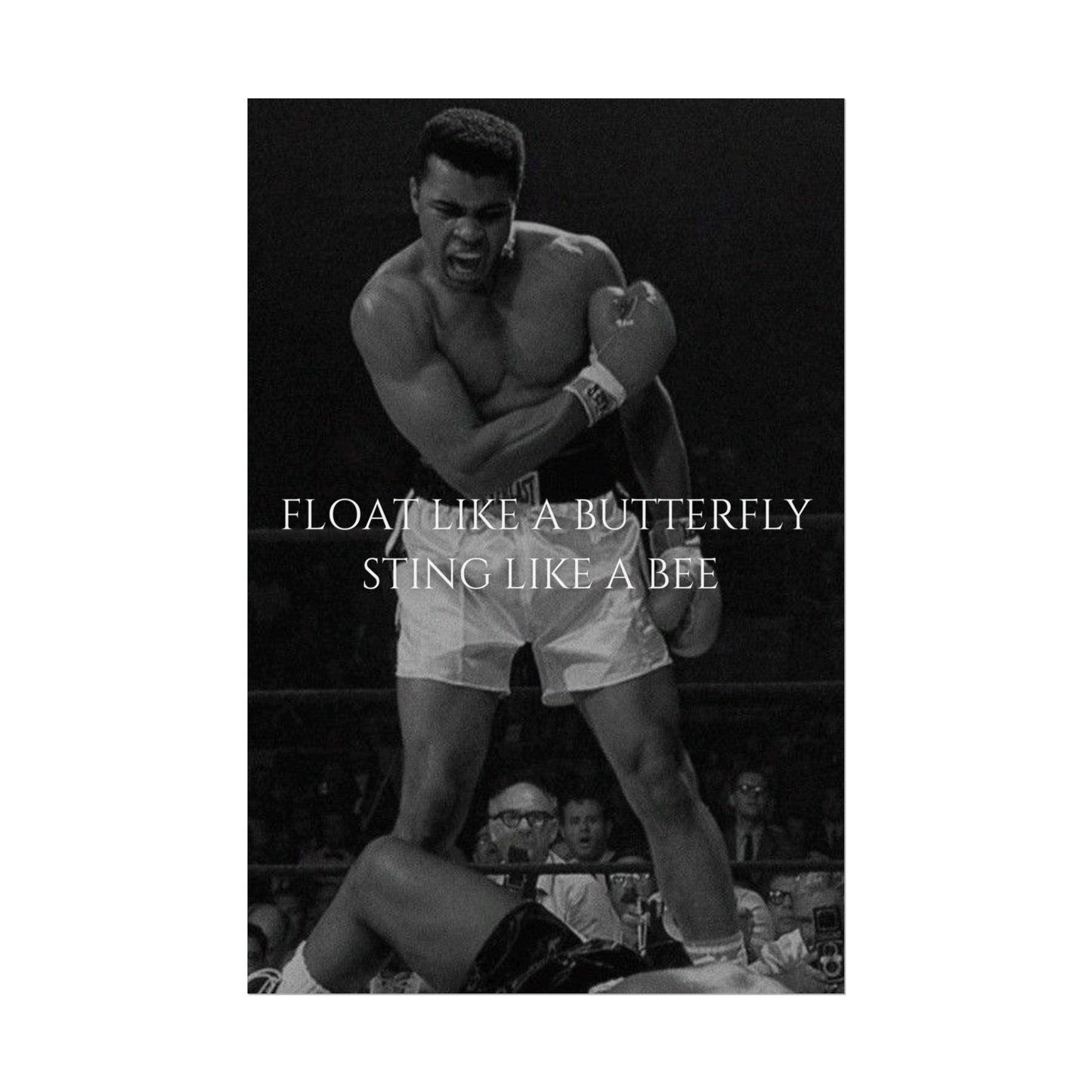 MUHAMMAD ALI POSTER - FLOAT LIKE A BUTTERYFLY STING LIKE A BEE