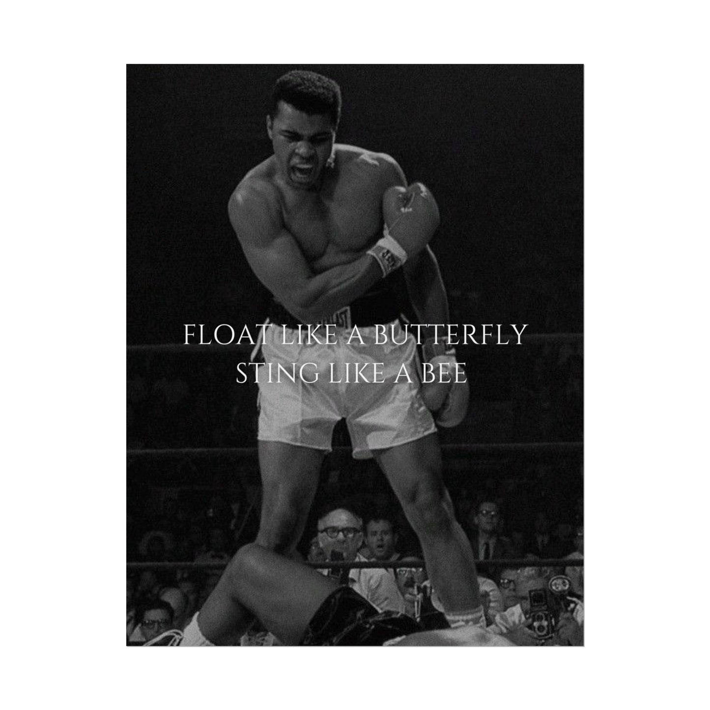 MUHAMMAD ALI POSTER - FLOAT LIKE A BUTTERYFLY STING LIKE A BEE