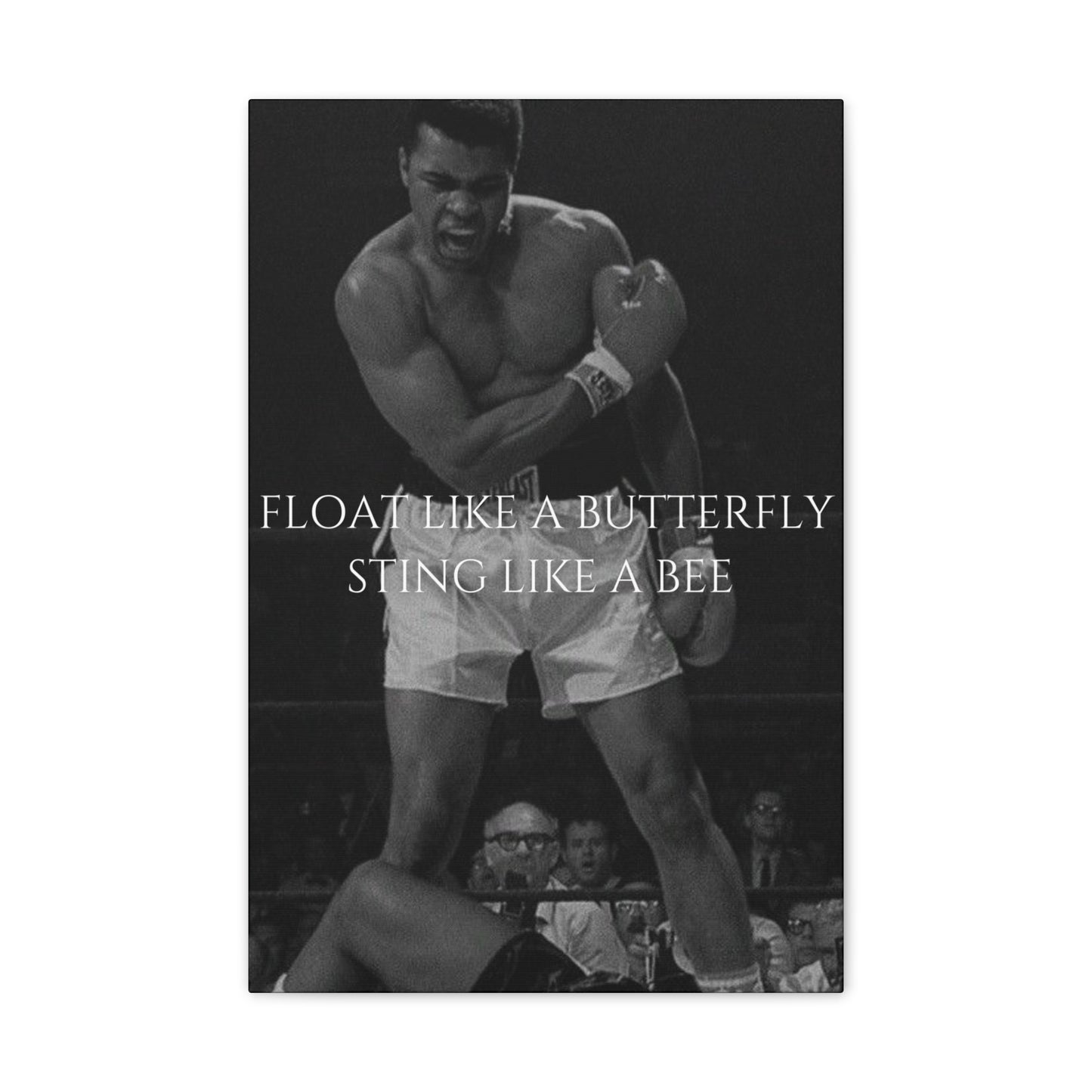 LUXURY MUHAMMED ALI CANVAS