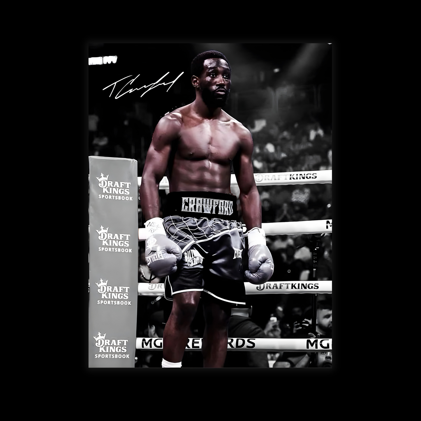 Terrance Crawford Boxing Poster Rolled Posters | Bud Crawford Wall Decor