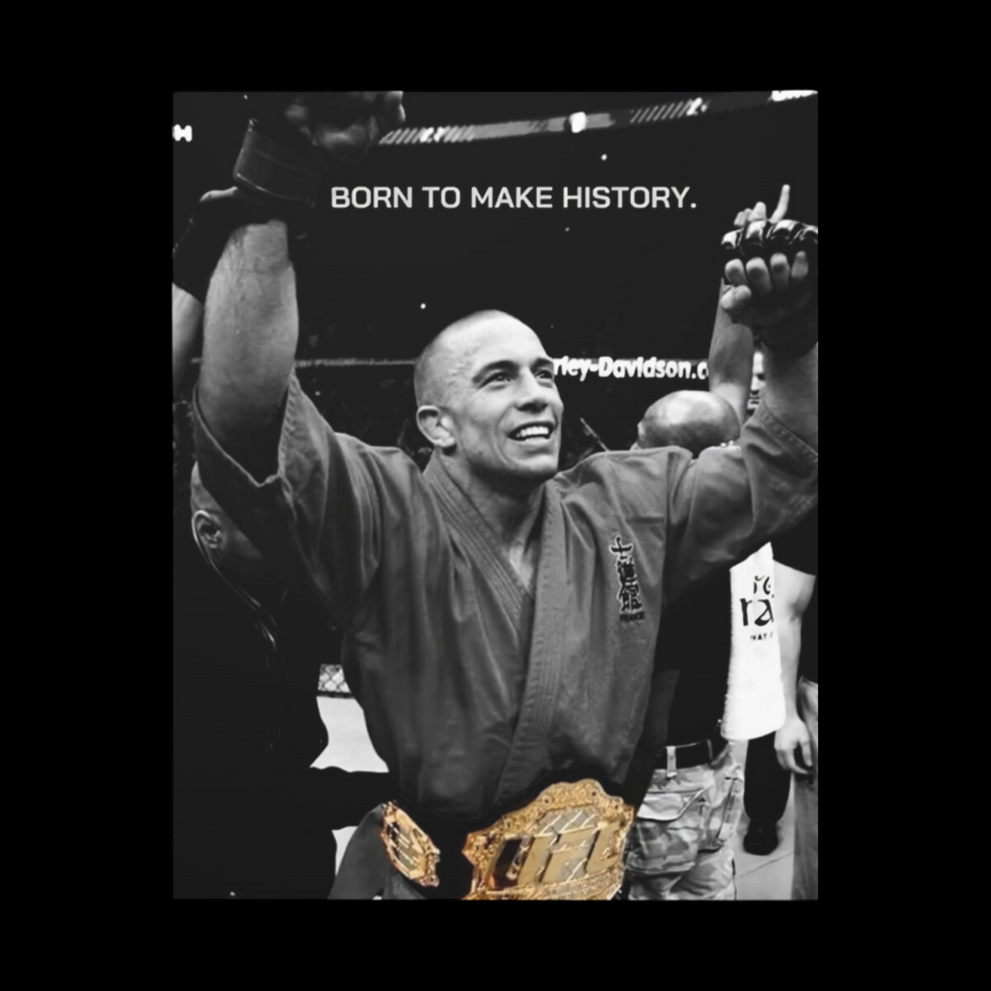 LUXURY GEORGES SAINT PIERRE CANVAS